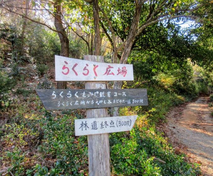 網掛山　らくらく広場